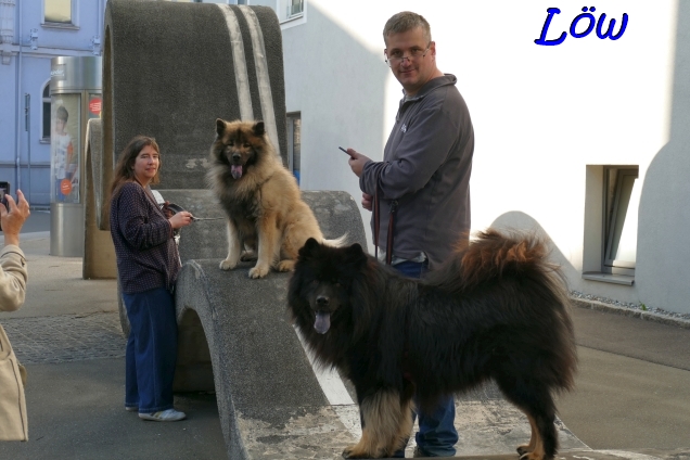 19.4.2025 - Kletterwege